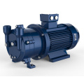 2BV Water Ring Vacuum Pump